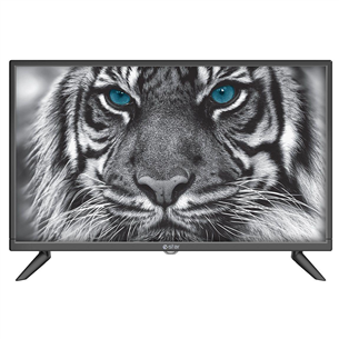 eSTAR D5T2, 24", HD, LED LCD, feet stand, black - TV TVRTEST00028BK