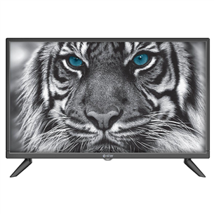 eSTAR D5T2, 24", HD, LED LCD, jalad äärtes, must - TV