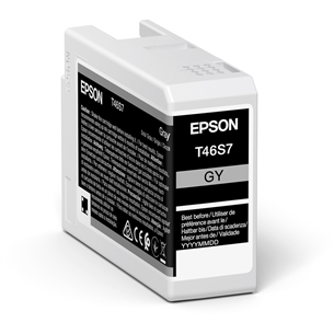 Epson UltraChrome Pro 10 ink T46S7, gray - Ink cartridge C13T46S700