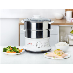 Tefal Сonvenient series, white/silver - Steamer