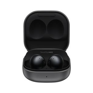 Samsung Galaxy Buds 2, black- True-wireless Earbuds SM-R177NZTAEUD