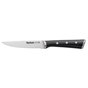 Tefal Ice Force, 4 pieces, blades length 11 cm - Knives set