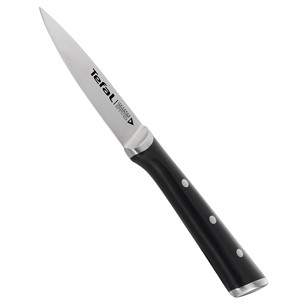 Universaalne nuga Tefal Ice Force 9 cm