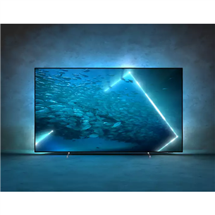 Philips OLED707, 48", 4K UHD, OLED, jalad äärtes, hall - Teler