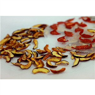 Ezidri Ultra FD1000, 4 tk - Võrkvaheleht toidukuivatile