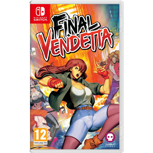 Final Vendetta (игра для Nintendo Switch) 5056280444855