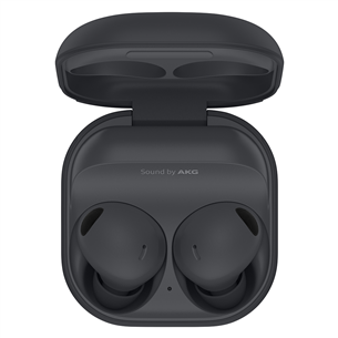 Samsung Galaxy Buds2 Pro, grafiithall - Täisjuhtmevabad kõrvaklapid