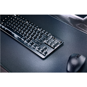 Razer DeathStalker V2 Pro TKL, SWE, black - Wireless Keyboard