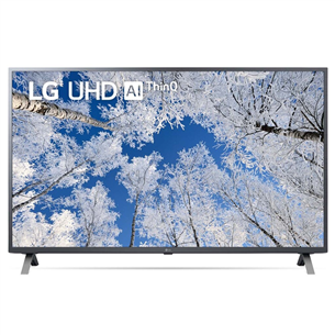 LG UQ7000, 55", 4K UHD, LED LCD, feet stand, black - TV