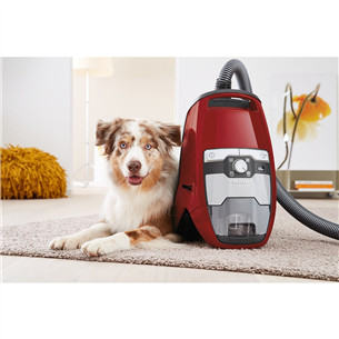 Miele Blizzard CX1 Cat & Dog, 890 W, bagless, red - Vacuum cleaner