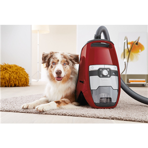 Miele Blizzard CX1 Cat & Dog, 890 W, bagless, red - Vacuum cleaner