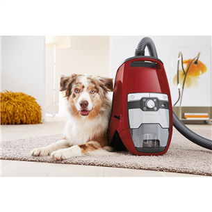 Miele Blizzard CX1 Cat & Dog, 890 W, tolmukotita, punane - Tolmuimeja