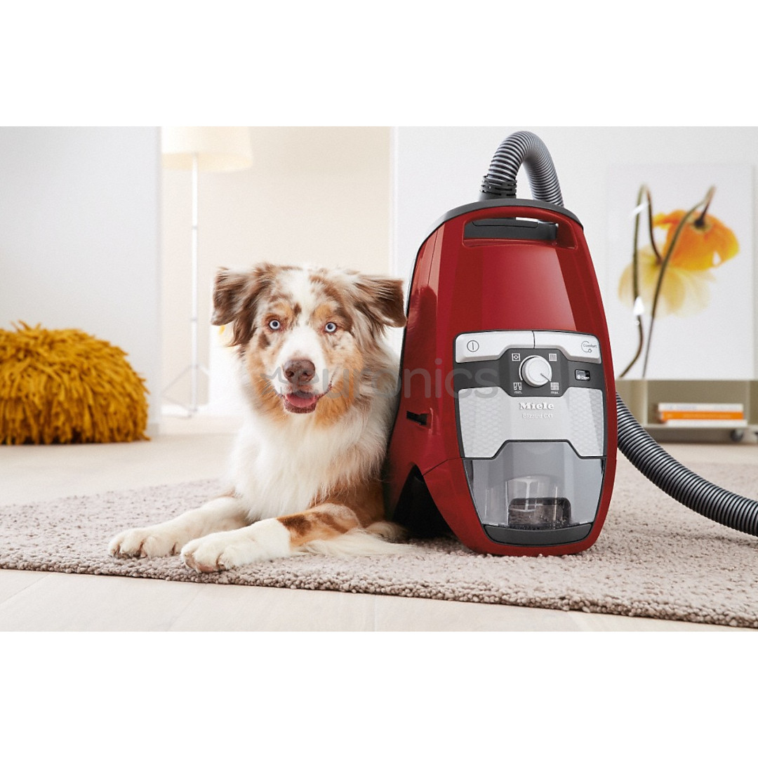 Miele Blizzard CX1 Cat & Dog, 890 W, bagless, red - Vacuum cleaner