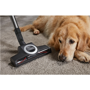 Miele Blizzard CX1 Cat & Dog, 890 Вт, без мешка, красный - Пылесос