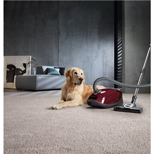 Miele Complete C3 Cat & Dog, 890 W, punane - Tolmuimeja