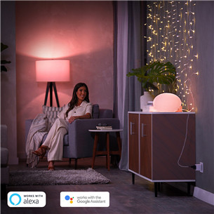 Philips Hue Smart Plug, valge - Nutipistik