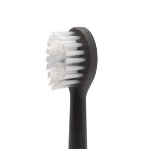 Spotlight Sonic, 3 pieces, grey - Toothbrush heads