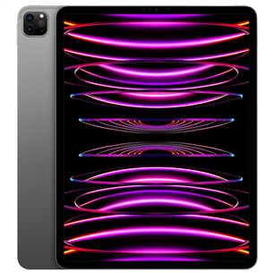 Apple iPad Pro 12,9'' (2022), 256 ГБ, WiFi, серый космос - Планшет MNXR3HC/A
