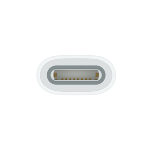 Apple USB-C to Apple Pencil Adapter, white - Adapter