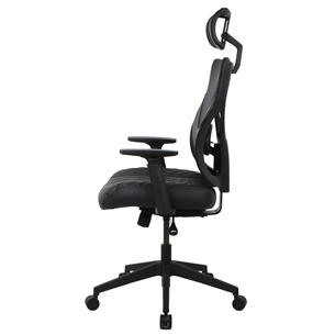 ONEX GE300, ergonomical, black - Office chair