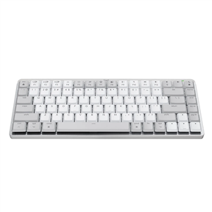 Logitech MX Mechanical Mini for Mac, SWE, pale gray - Wireless keyboard