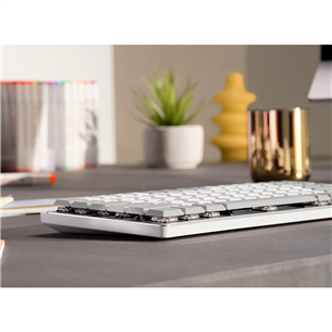 Logitech MX Mechanical Mini for Mac, SWE, pale gray - Wireless keyboard