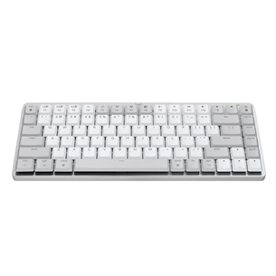 Logitech MX Mechanical Mini, US, hall - Juhtmevaba klaviatuur Macile