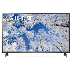 LG UQ7000, 65", 4K UHD, LED LCD, feet stand, black - TV