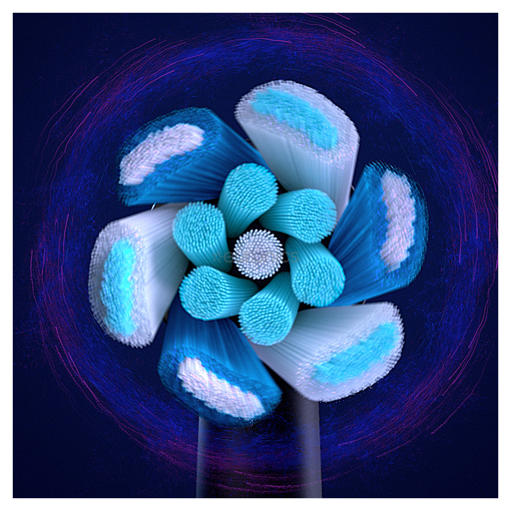 Braun Oral-B iO, 6 tk, must - Lisaharjad elektrilisele hambaharjale