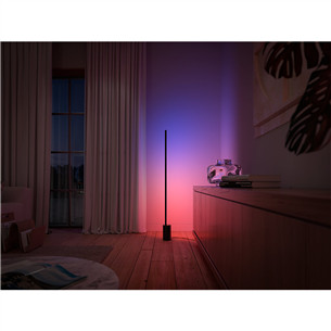 Philips Hue Signe, White and Color Ambiance, black - LED Floor Lamp