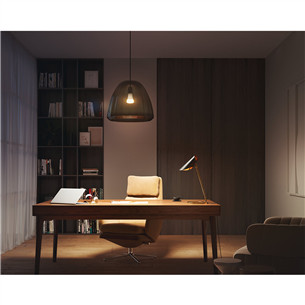 Philips Hue White, E27, valge - Nutivalgusti