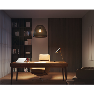 Philips Hue White, E27, valge - Nutivalgusti