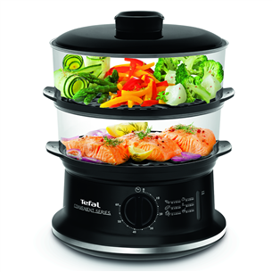 Tefal Convenient, 980 W, black - Steamer