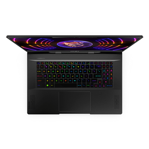 MSI Stealth 17 Studio A13VH, 17,3'', Mini LED, UHD, 144 Гц, i9, 32 ГБ, 2 ТБ, RTX 4080, W11P, ENG, черный - Ноутбук