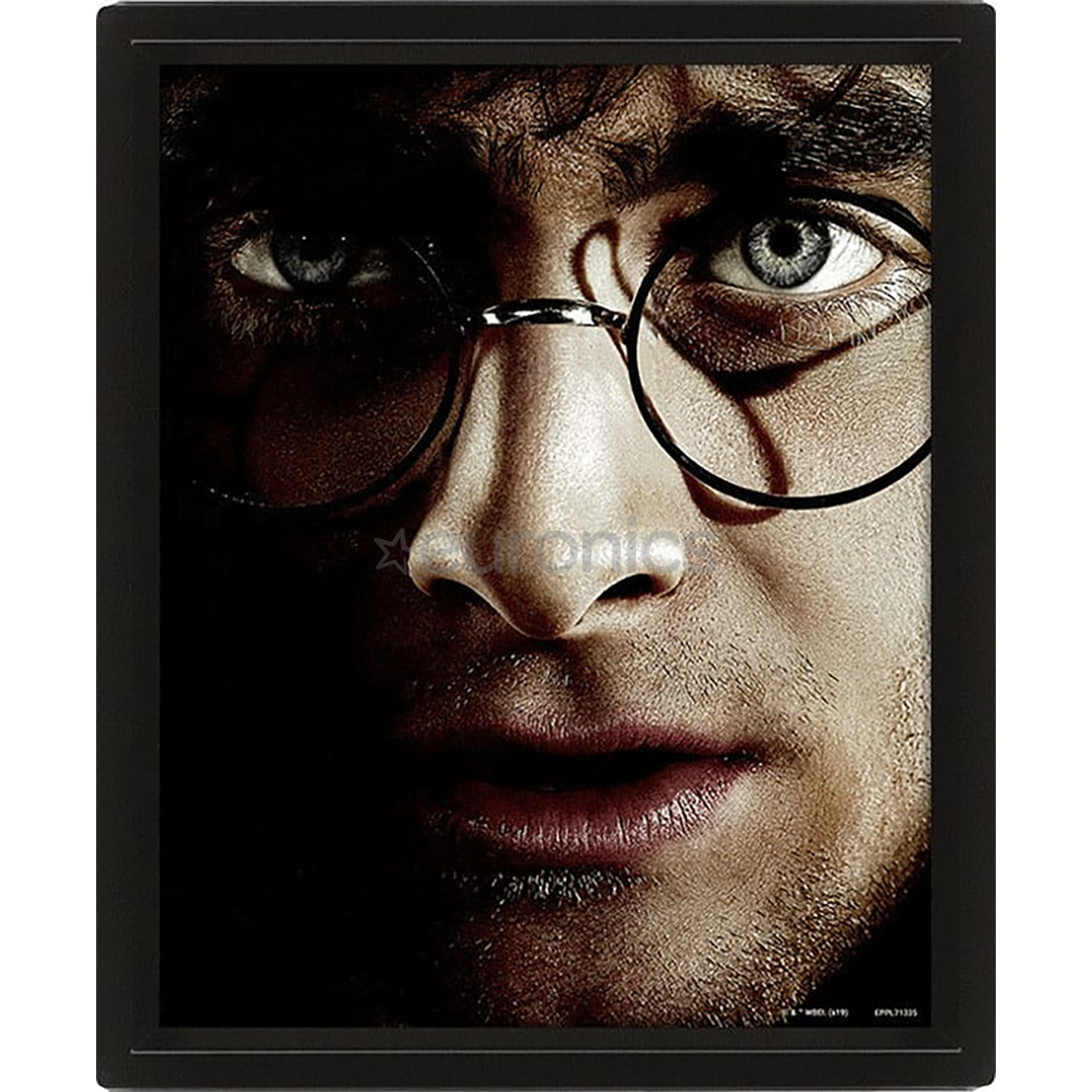 Harry Potter vs Voldemort, 20x25 cm, 3D - Wall art
