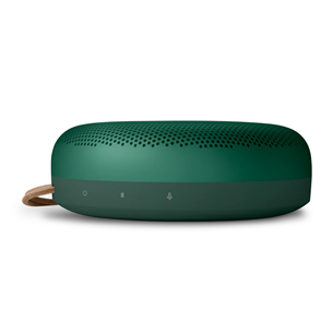 Bang & Olufsen Beosound A1 2nd Gen, green - Portable wireless speaker