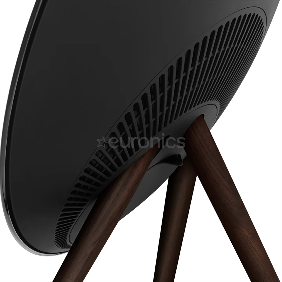 Bang & Olufsen Beosound A9 5.G, черный - Беспроводная колонка