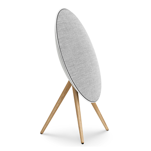 Bang & Olufsen Beosound A9 5.G, natural aluminium - Wireless speaker