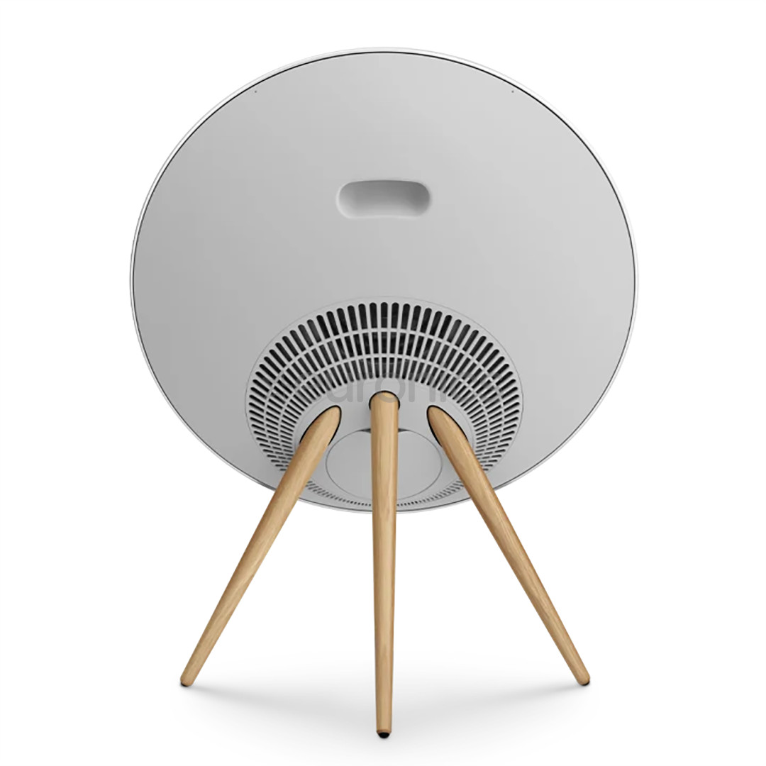 Bang & Olufsen Beosound A9 5.G, серый - Беспроводная колонка