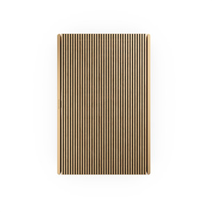 Bang & Olufsen Beosound Level, kuldne - Kaasaskantav juhtmevaba kõlar