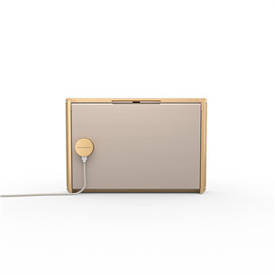 Bang & Olufsen Beosound Level, kuldne - Kaasaskantav juhtmevaba kõlar