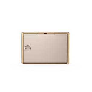 Bang & Olufsen Beosound Level, kuldne - Kaasaskantav juhtmevaba kõlar