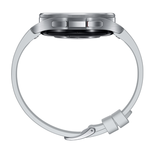 Samsung Watch6 Classic, 43 mm, BT, hõbedane - Nutikell