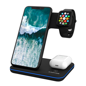 Canyon WS-303, black - Charging station