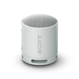 Sony SRS-XB100, light gray - Portable wireless speaker SRSXB100H.CE7