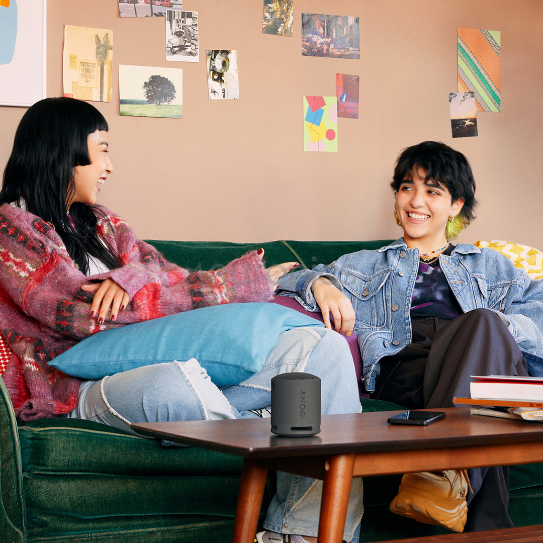 Sony SRS-XB100, черный - Портативная беспроводная колонка