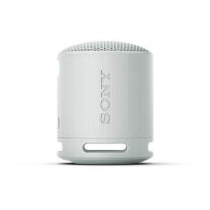 Sony SRS-XB100, light gray - Portable wireless speaker