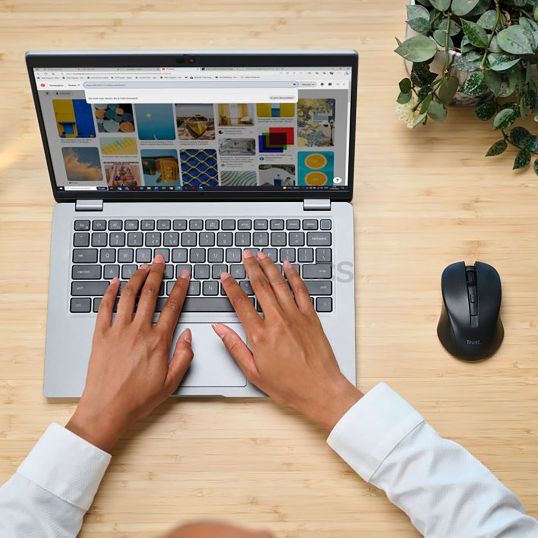 Trust Mydo Silent Click, black - Wireless mouse