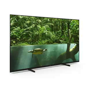 Philips PUS7008, 55'', Ultra HD, LED LCD, must - Teler