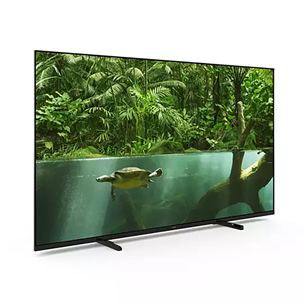 Philips PUS7008, 65'', Ultra HD, LED LCD, black - TV